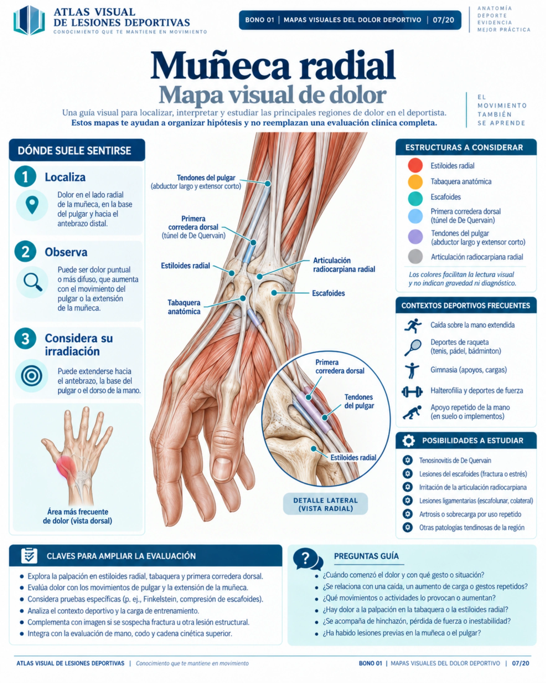 Página 7: Muñeca radial: mapa del dolor. Muestra original de la biblioteca educativa de lesiones deportivas.
